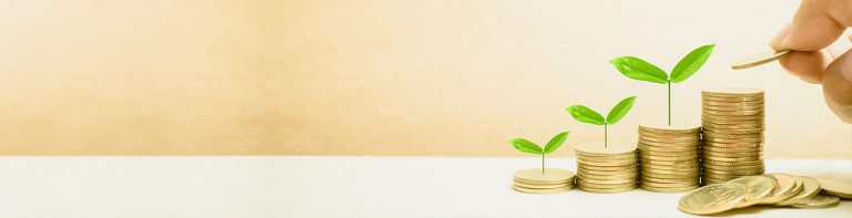 כושר השתכרות